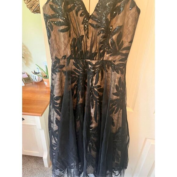 Dress the Population Romantic Sequin and Lace Fit and Flare Size Small - Picture 8 of 11